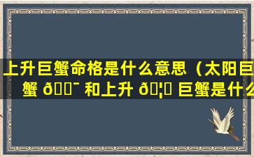 上升巨蟹命格是什么意思（太阳巨蟹 🐯 和上升 🦈 巨蟹是什么意思）